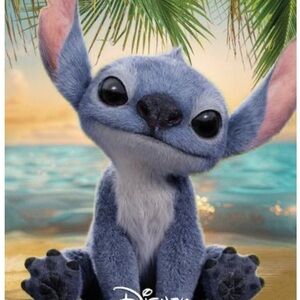 22.375” x 34” Stitch Poster